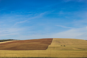 wheat field and blue sky.
landscape with field and blue sky. geometry on the field