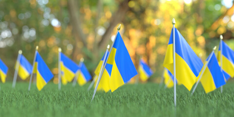 National flags of Ukraine in the grass. Celebration related 3D rendering