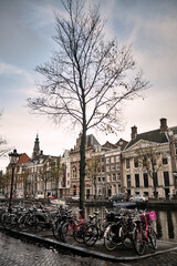 Obraz premium Bicycles parked along the canal, against the backdrop of beautiful houses in Holland