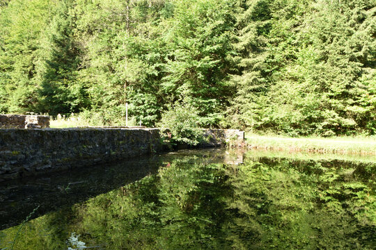 Züsch Bilder Durchsuchen 29 Archivfotos, und Videos