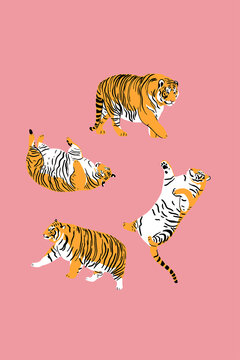 Chubby tigers interior poster. Home decor, printable decoration. 40 x 60 format 300 DPI high quality poster. Wild tigers on pink background wall art.