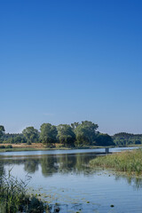 Fototapeta premium Nature reserve, masurian province, Poland. 