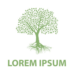 tree with green leaves