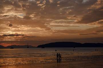 Naklejka na ściany i meble people walking at the beach on beautiful summer sunset