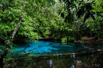 Blue or emerald pool in National park Sa Morakot, Krabi, Thailand.
