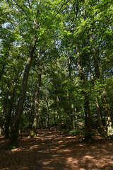 Wanderweg Dollbergschleife