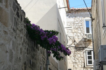 Fototapeta na wymiar street in the old town of Makarska, Chroatia 