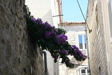 street in the old town of Makarska, Chroatia 