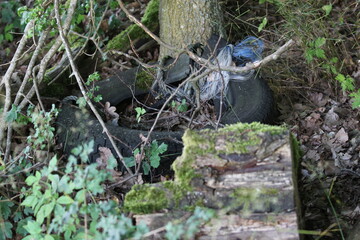 Müllentsorgung im Wald weggeworfene Flaschen Autoreifen Plastik Kunststoff