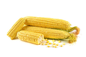 Fresh yellow ears of sweet dessert corn on a white background, close-up.horizontal view