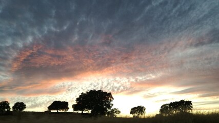 Atardecer en el campo