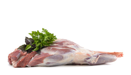 Raw leg of mutton on a bone on a white isolated background. Sheep meat close-up.A fresh piece of mutton. horizontal view.