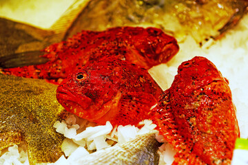  Mercat de la Boqueria in Barcelona, Spaniens berühmter, lebhafter öffentlicher Markt, der keine...