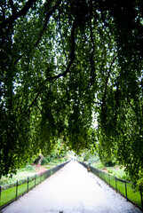 road in the park