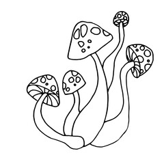Happy halloween. Amanita mushroom contour drawing. Amanita family.