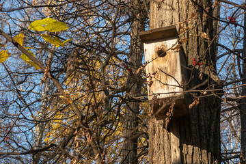 Birdhouse in park on sunny autumn day. Handmade wooden shelter for wild birds.