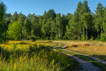 Walk through wooded areas and flowering meadows. Hiking.