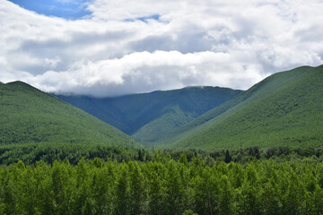 Fototapeta na wymiar Green hills with dense forest. Low gray-white clouds. The Sikhote-Alin mountains. 
