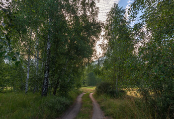 Obraz premium Spaceruj przez tereny leśne i kwitnące łąki. Wędrówki.