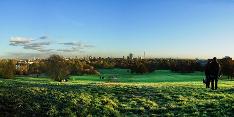 Primrose hill