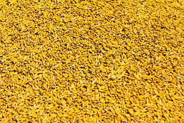 abstract background with yellow bubbles