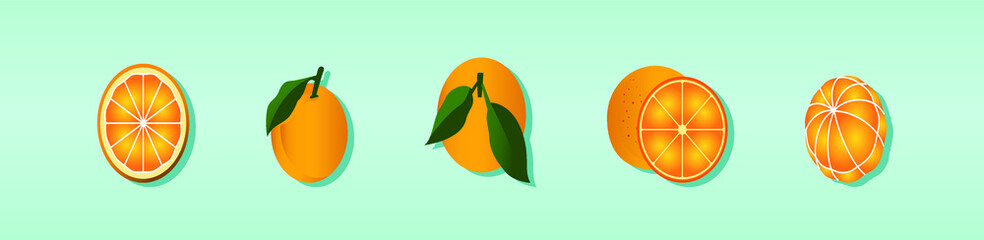 Orange fresh slices set. Cut Oranges fruit slice vector illustration