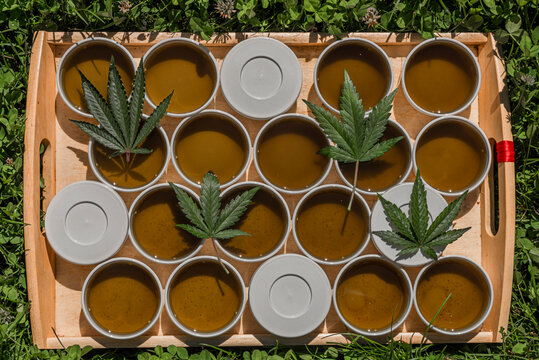 Production of marijuana medical salve with white gallipot and green leafs