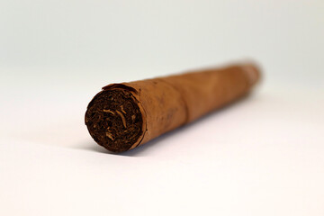 Cigar on a white background