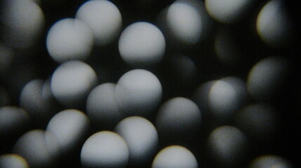 white eggs on black