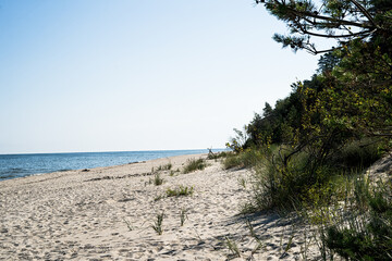 Fototapeta premium Sandy beach on the Baltic Sea, view of the sea, sandy beach and dunes covered with natural forest