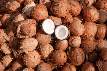 Many fresh coconut cut into half, drying in the sun to make coconut oil in Kerala, India. Indian...