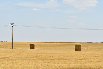 spanish landscape view of european countryside rural area in castilla y leon burgos spain.