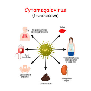 transmission of cytomegalovirus infection