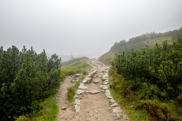 górska ścieżka znikająca w gęstej mgle