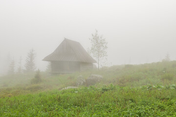 Stara drewniana chata pasterska w górach. Tatry, Polska.