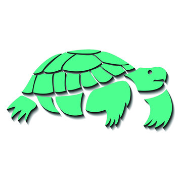 Turtle turquoise on a white background and black shadow, a sign for design, vector illustration