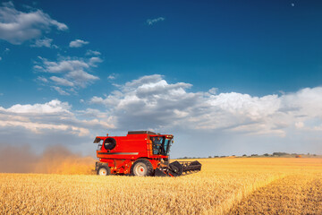 Harvesting of grain crops in the field, a bright summer landscape with a combine harvester. Selective focus.