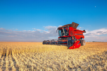 Harvesting of grain crops in the field, a bright summer landscape with a combine harvester. Selective focus.