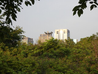 Trees and buildings