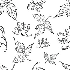 Fototapeta premium Seamless pattern with hand drawn leaves. Fashion, interior, wrapping, packaging suitable. Repeat graphic design of black and white maple leaf isolated on white