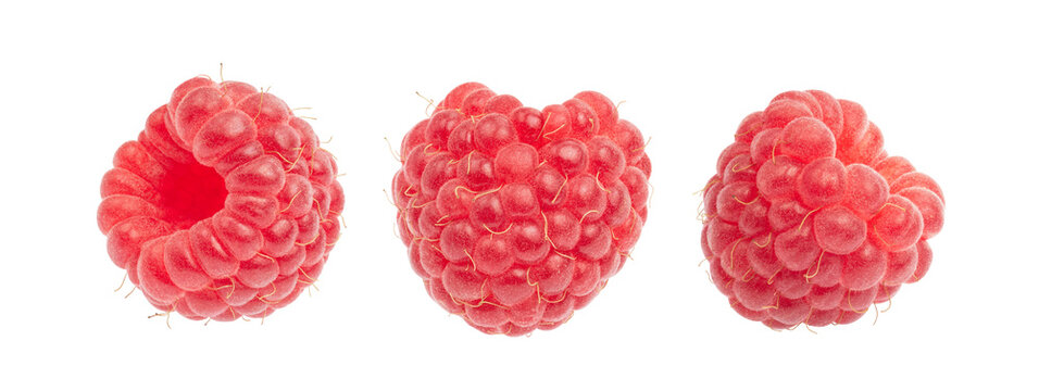 Raspberry Fruit Collections, isolated on white background. Macro