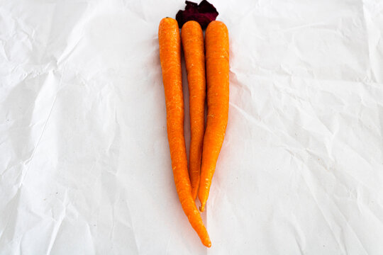 Carrot Flower Background