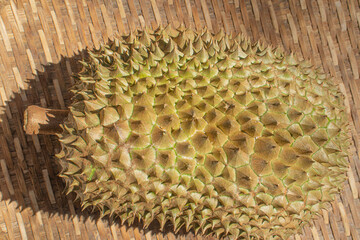 close up of durian fruit