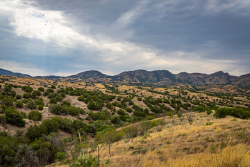 Fototapeta na wymiar Santa Rita Mountains Arizona
