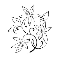 ornament 1248. twigs with blossoming stylized flowers, leaves and curls in black lines on a white background