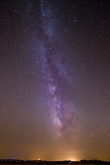 Scenic panoramic picture-postcard view of starry sky surrounded by some trees on a forest. Amazing Landscape with Milky Way Galaxy full of stars.