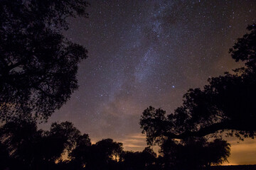 Scenic panoramic picture-postcard view of starry sky surrounded by some trees on a forest. Amazing Landscape with Milky Way Galaxy full of stars.