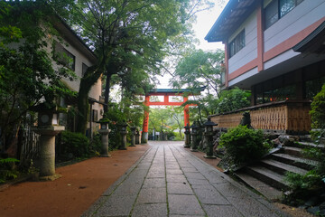 京都 雨上りの宇治神社