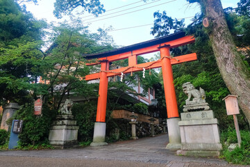 京都 雨上りの宇治神社 鳥居
