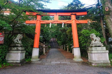 京都 雨上りの宇治神社 鳥居